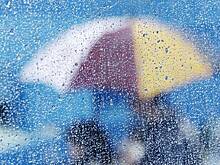 Дожди будут лить всю рабочую неделю в Приморье