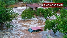 Двое погибших и затопленные дома: ливень вызвал мощное наводнение в Стамбуле