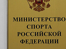 В Минспорте РФ рассказали про обеспечение профессионального спорта оборудованием