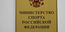 В Минспорте РФ рассказали про обеспечение профессионального спорта оборудованием