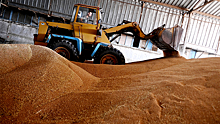 Еще четыре страны ЕС пообещали запретить экспорт украинского зерна