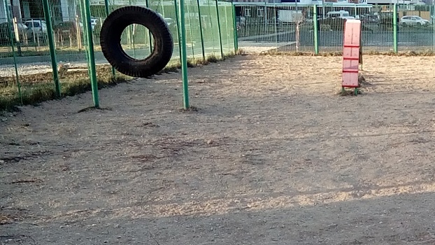 Площадку для выгула собак обустроят в Солнцево-Парке