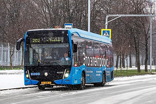 Первые электробусы протестируют на улицах Новосибирска