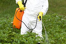 Главные симптомы отравления пестицидами
