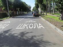 Общественники настаивают на безопасных переходах во всем Хабаровском крае