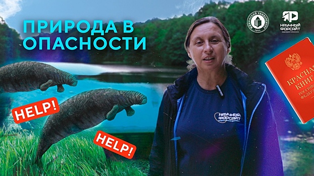 Учёная рассказала, какие растения и животные исчезли в Нижегородской области