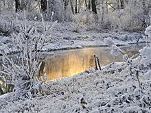Что нельзя делать в Крещенский сочельник