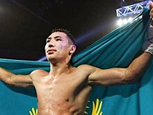 Арум: «Алимханулы – преемник Головкина»