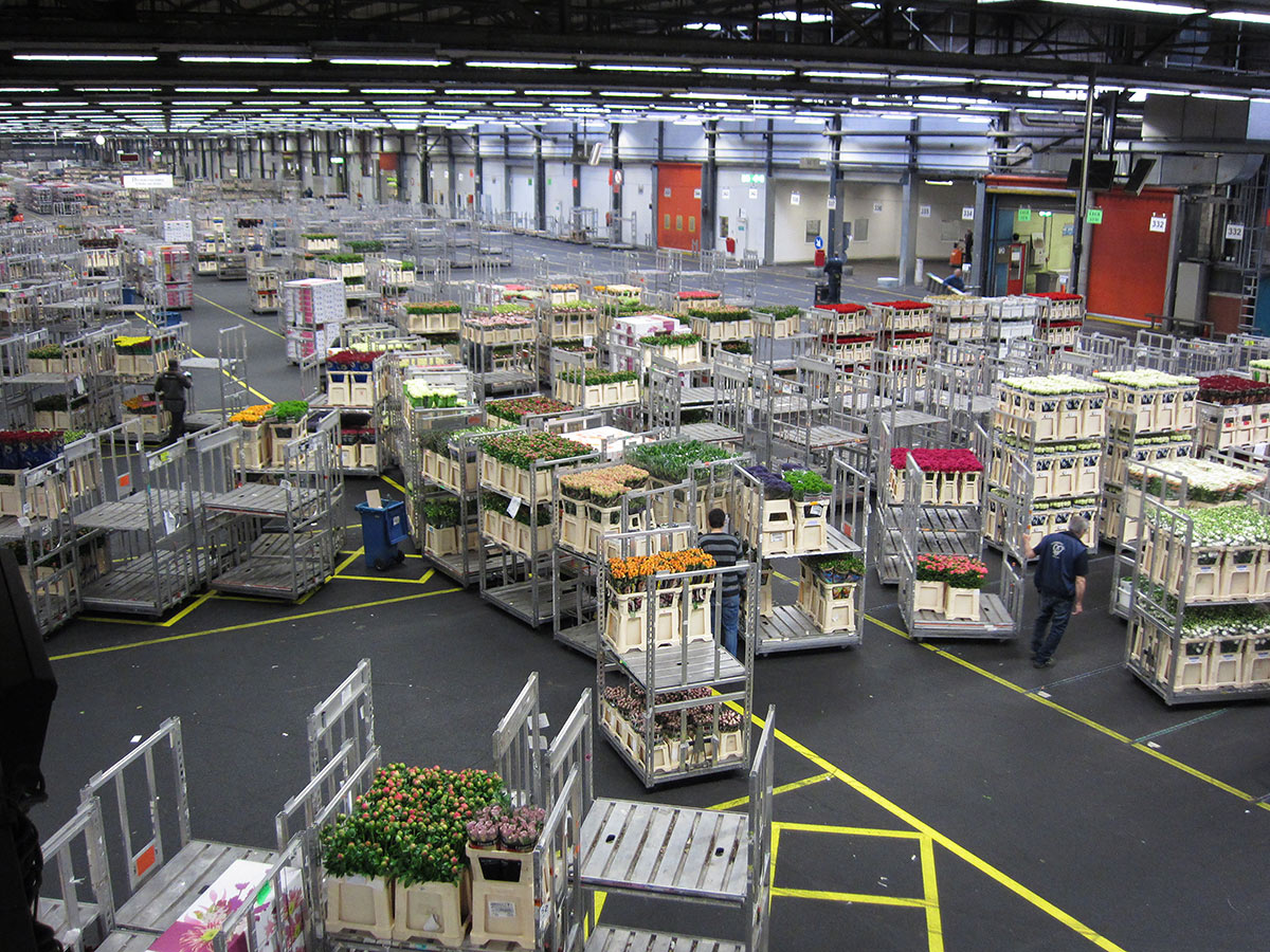 Цветочный аукцион FloraHolland, Амстердам, Нидерланды, Европа
