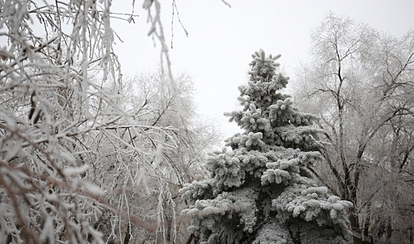 В Волгоградской области создали охранные зоны для 25 ценных природных территорий