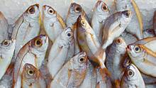 Скидки и вкусные блюда: что ждет москвичей на «Рыбной неделе»
