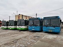 Бесплатно полученные Калининградом автобусы пойдут в резерв