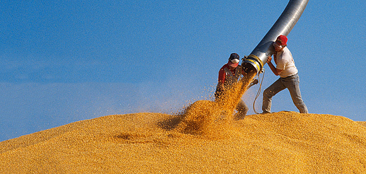 S&P понизило рейтинг Monsanto до «BBB» после сделки с Bayer