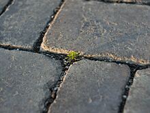 Суд обязал заменить брусчатку на центральной площади в Красногорском