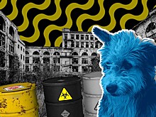 Голубые собаки. Кто виноват и что на самом деле произошло в Дзержинске
