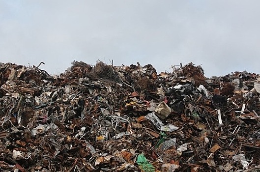 В Ростовской области усилили ответственность за сжигание мусора