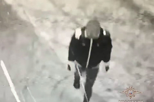 Стали известны детали кражи более 100 картин из подмосковного института