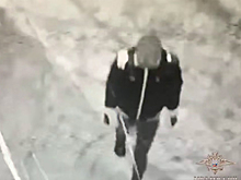 Стали известны детали кражи более 100 картин из подмосковного института