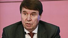 Крымский сенатор дал совет людям, собирающимся пересечь Крымский мост