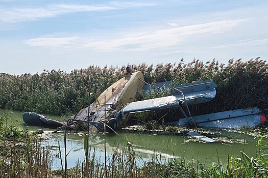 Самолет Ан-2 упал при проведении сельхозработ в Ростовской области, погиб пилот