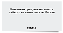 В России предложили ввести эмбарго на вывоз леса