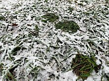 Синоптики обещают кировчанам теплый выходной перед похолоданием