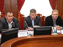 Новгородские депутаты и Минприроды не смогли решить, что считать валежником