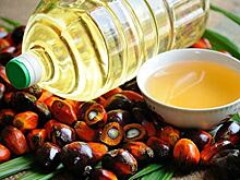 Росстат зафиксировал рост импорта пальмового масла