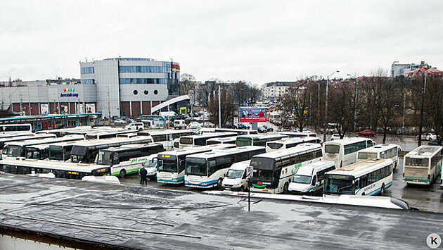 Из Калининграда будет ходить автобус в ещё один немецкий город