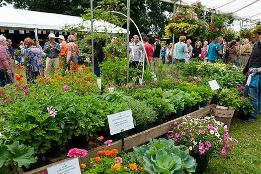 В Новосибирске три недели будут работать дачные ярмарки