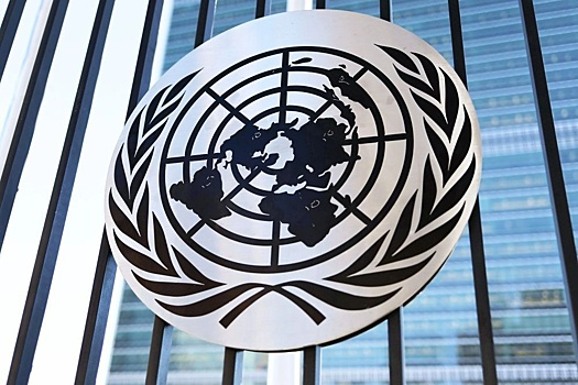 СПЧ передает в ООН доклад о нарушении прав соотечественников в 2025 году