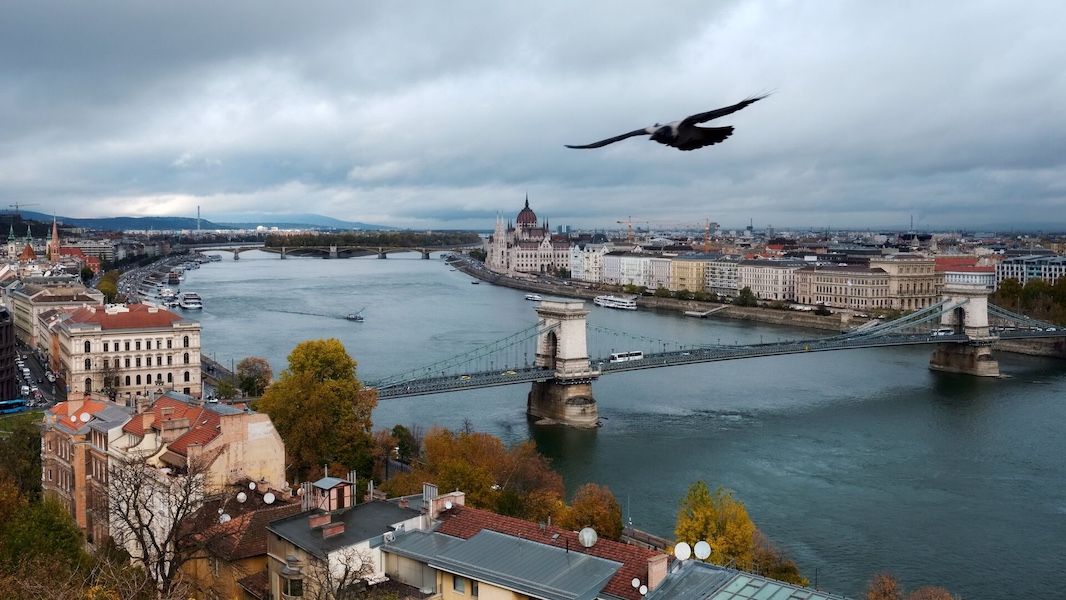 В Венгрии назвали неподобающей речь посла США в Будапеште