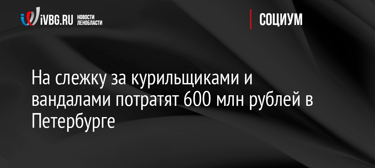 На слежку за курильщиками и вандалами потратят 600 млн рублей в Петербурге