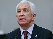 Депутат Васильев: В трудные времена народ России всегда находил силы и побеждал
