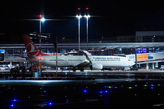 Самолет прервал взлет в турецком аэропорту из-за кошки﻿