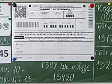 Отмену ЕГЭ для не желающих поступать в вузы необходимо обсудить – Рособрнадзор