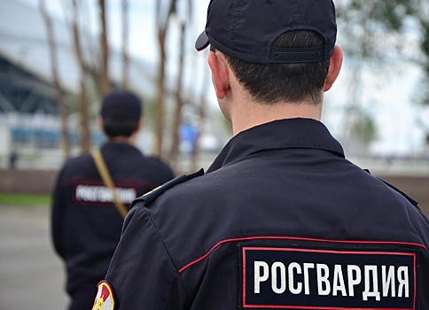 Рабочие из Самары устроили пьяный дебош на Бору