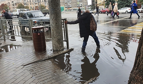 Дождевые сады и проницаемые покрытия могли бы спасти Воронеж от наводнений после дождя