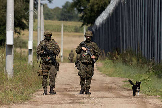 Польша разместила на восточной границе американские противодроновые системы MEROPS