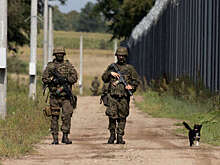 Польша разместила на восточной границе американские противодроновые системы MEROPS