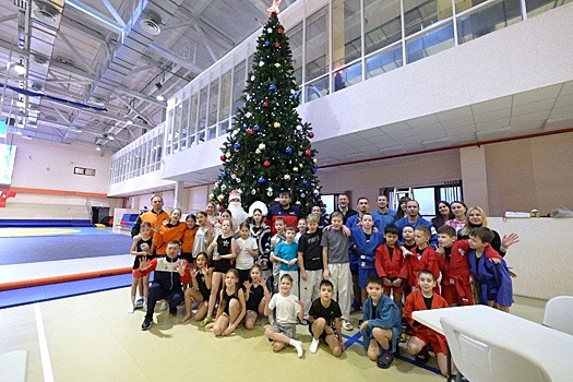 Дворец самбо в Верхней Пышме украсила "Елка настоящего борца"