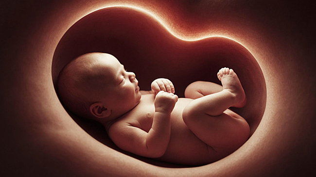 Эксперт прокомментировал исследование о стрессе беременных