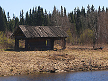 Кошмар для дачника: непутевым владельцам земельных участков штрафы выпишут беспилотники и спутники