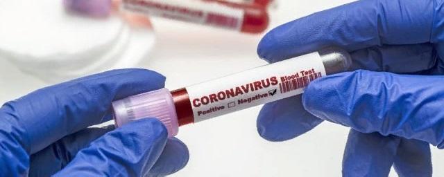 В Прикамье за сутки выявили 150 новых зараженных коронавирусом