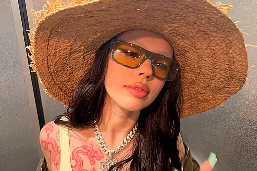 Милонов оценил участие Инстасамки в заседании Общественной палаты