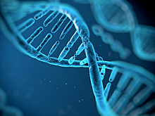 Зачем МВД хранение информации о ДНК правонарушителей