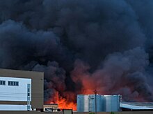 Обрушение кровли произошло на горящем складе в Подмосковье