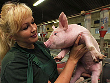 Эксперт исключил проблемы с мясом и молоком в России из-за санкций