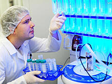 Ученые назвали продукт, который защищает от рака кишечника