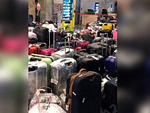 Массовые задержки из-за сбоя системы обработки багажа произошли во Внуково